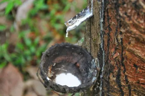 سایت تخصصی لاستیک