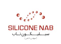 شرکت سیلیکون ناب